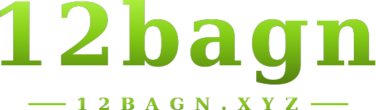 12bagn logo